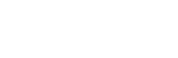 Google Store logo