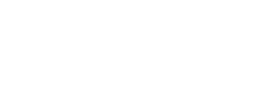 Web Store logo